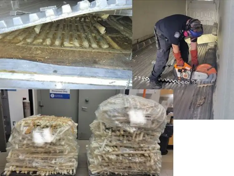 Detectan narcóticos entre fruta en garita de Nogales