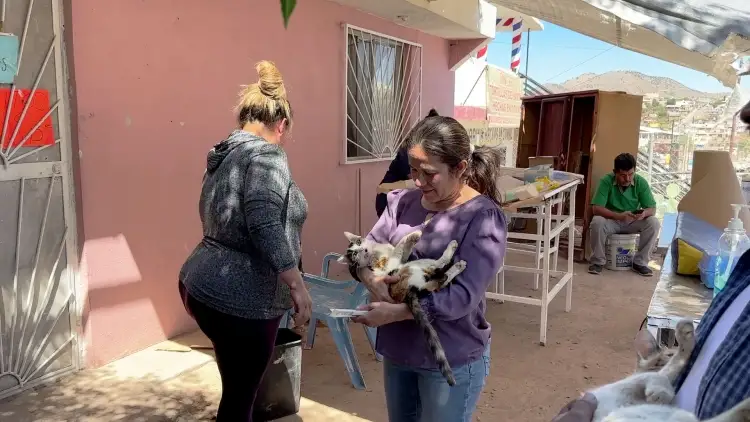 Continúa el Centro de Atención Animal arriba de su meta de esterilización