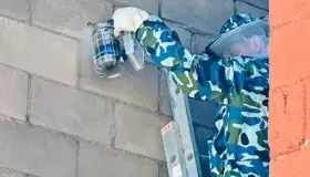 Remueven panal de abejas que perjudicaba a residentes de la Héroes