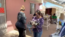 Continúa el Centro de Atención Animal arriba de su meta de esterilización