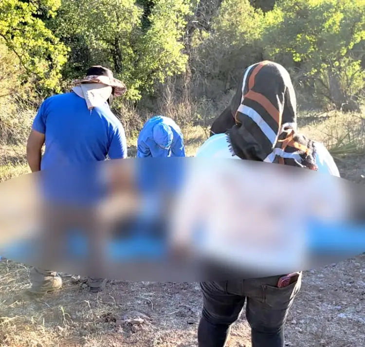 Informan hallazgo de más de 10 cuerpos en ‘La Comaya’