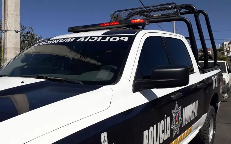 Ponen denuncia sobre maltrato animal en la Bella Vista