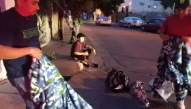 Trabajan en la preservación de la abeja dentro de la ciudad