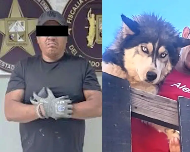 Detienen a presunto asesino de perrita “Mía”