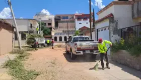 Reportan pocas afectaciones por recientes lluvias