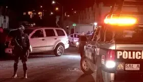 Derriba perro a motociclista y se lesiona