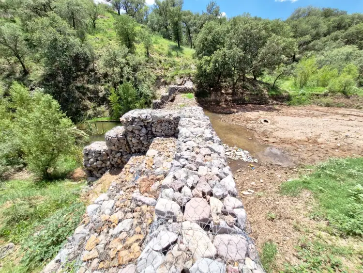 Monitorean gaviones de la periferia de la ciudad