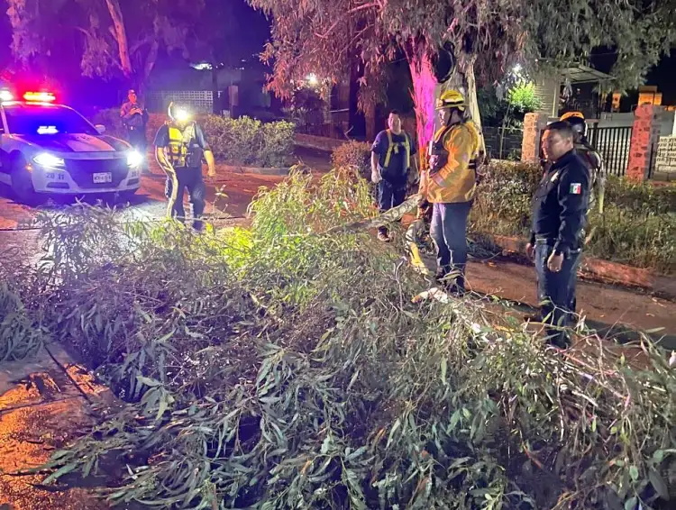 Provoca lluvia de madrugada daños y afectaciones
