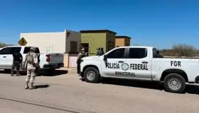 Aseguran en tractocamión más de 50 mil pastillas de fentanilo