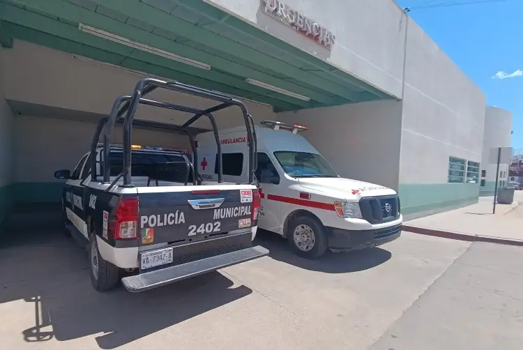 Atacan perros a mujer en La Mesa