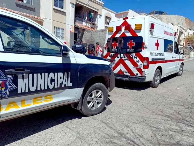 Agreden a dos a pedradas; hechos en distintos sectores