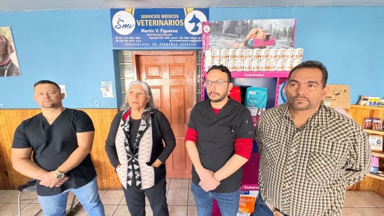 Se buscan veterinarios con experiencia en seguridad
