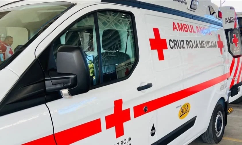 Crece el riesgo por ataque de perros callejeros en Nogales