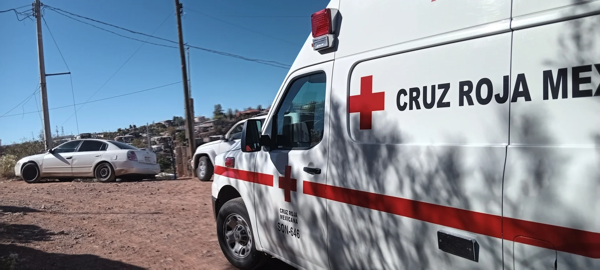 Nuevo ataque de perro deja lesionada a una mujer en la Luis Donaldo Colosio