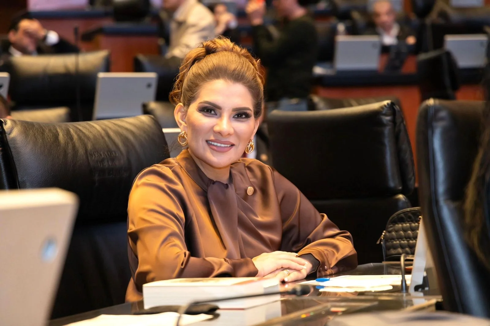 El Senado es clave para el segundo piso de la 4T: Valles