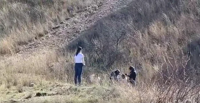 Buscadoras hallan cuerpo enterrado en Nogales y piden apoyo de autoridades