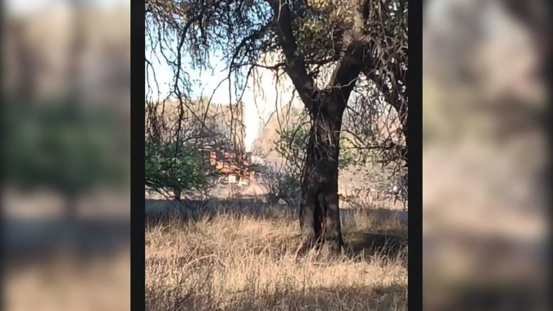 Advierten acciones contra focos de contaminación en Nogales