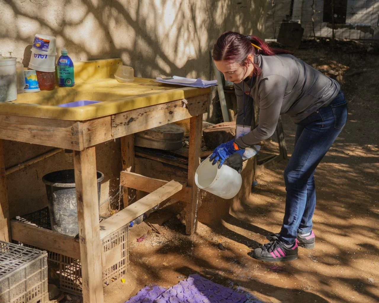 Refuerzan acciones preventivas contra el dengue en Sonora