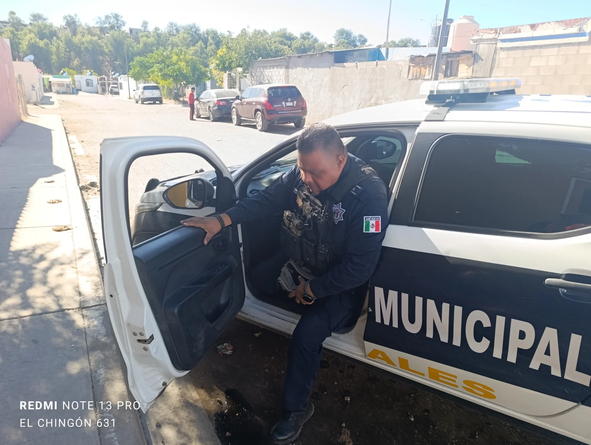 Citan a dueño de perro tras agresión a vecino en Nogales