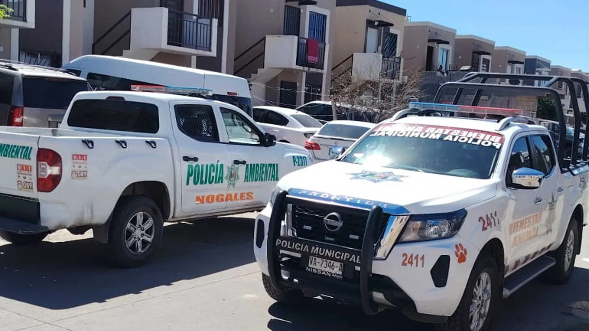 Hallan a perrita muerta por disparo y vivienda alterada en Nogales