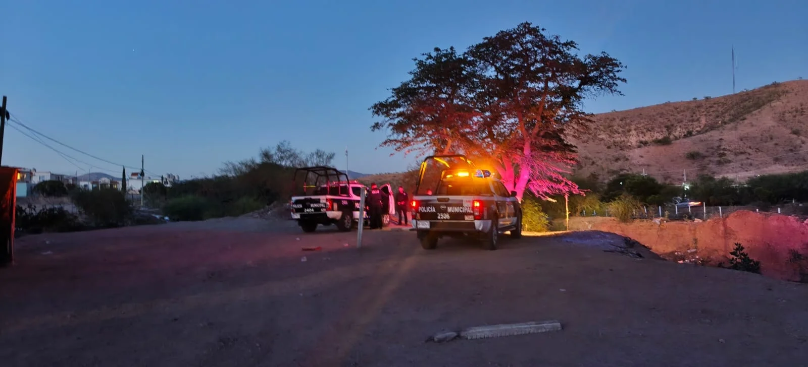Intervención oportuna evita tragedia; canalizan caso a UNAVIM en Nogales