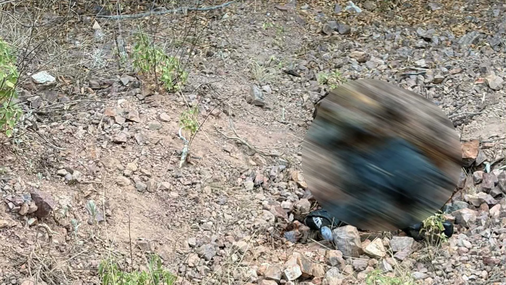Investigan hallazgo de cadáver con signos de violencia cerca del rancho El Embudo