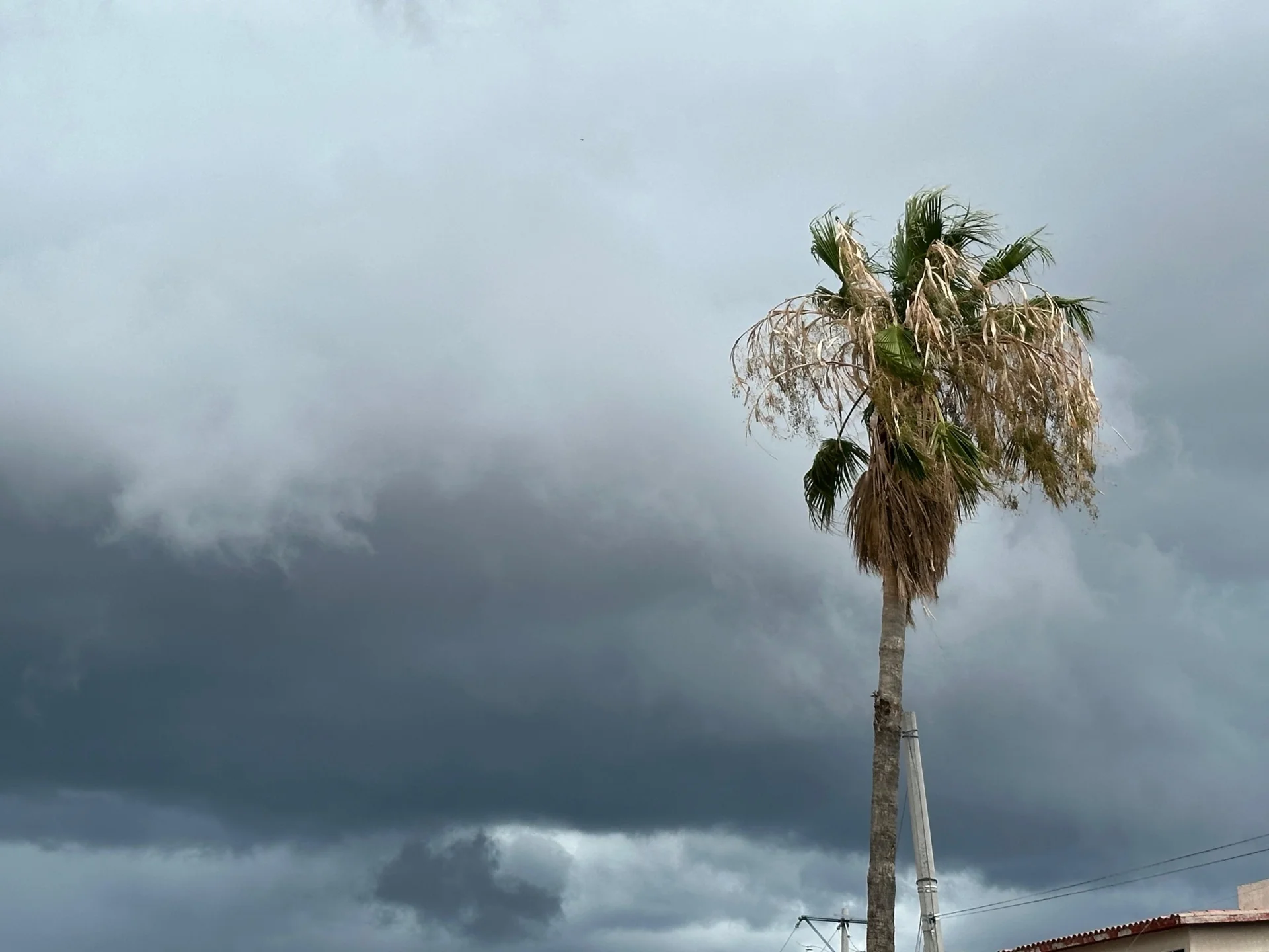 Piden evitar arroyos y vialidades de riesgo ante pronóstico de lluvias