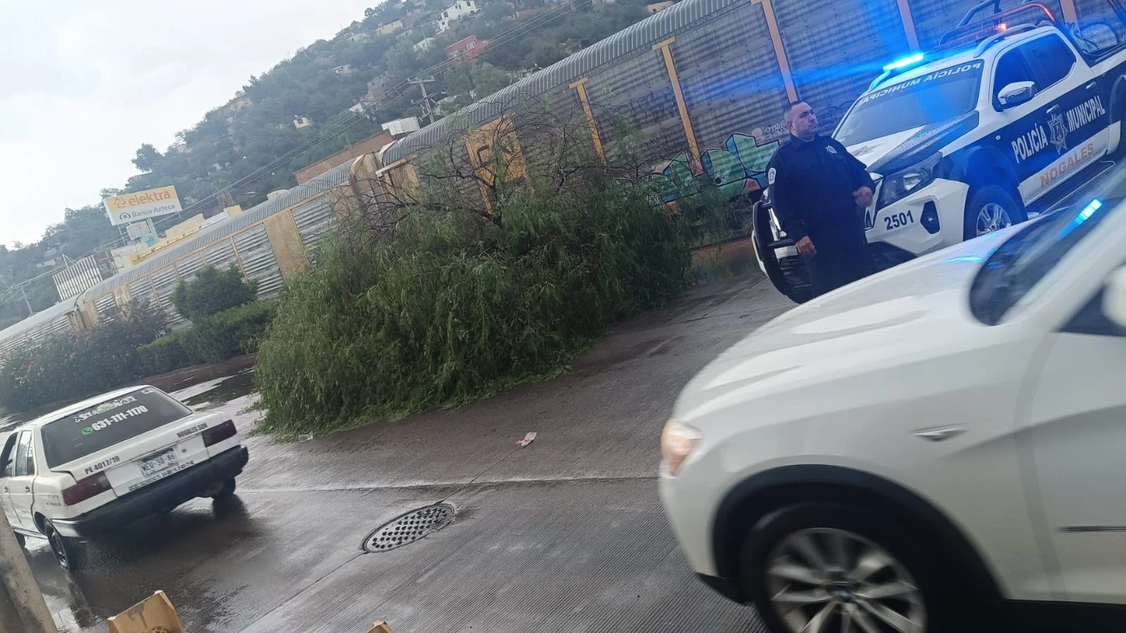Tormenta provoca estragos en Nogales, pero sin personas lesionadas