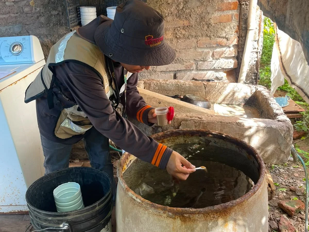 Refuerza Sonora acciones contra el dengue tras paso de ‘Polo’ por el sur del estado