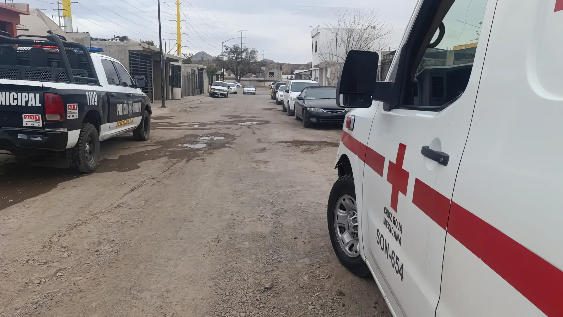 Ataque de perro a niño de 7 años en el sur de la frontera
