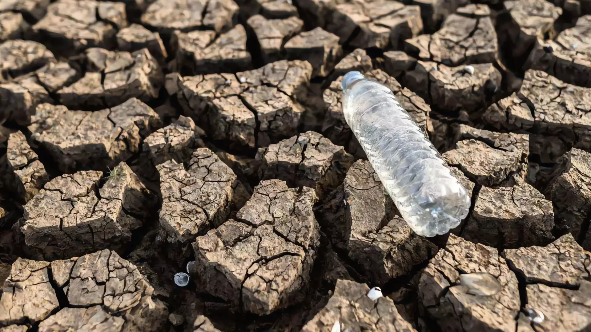 Sequía en Sonora: Emergencia persiste ante falta de lluvias
