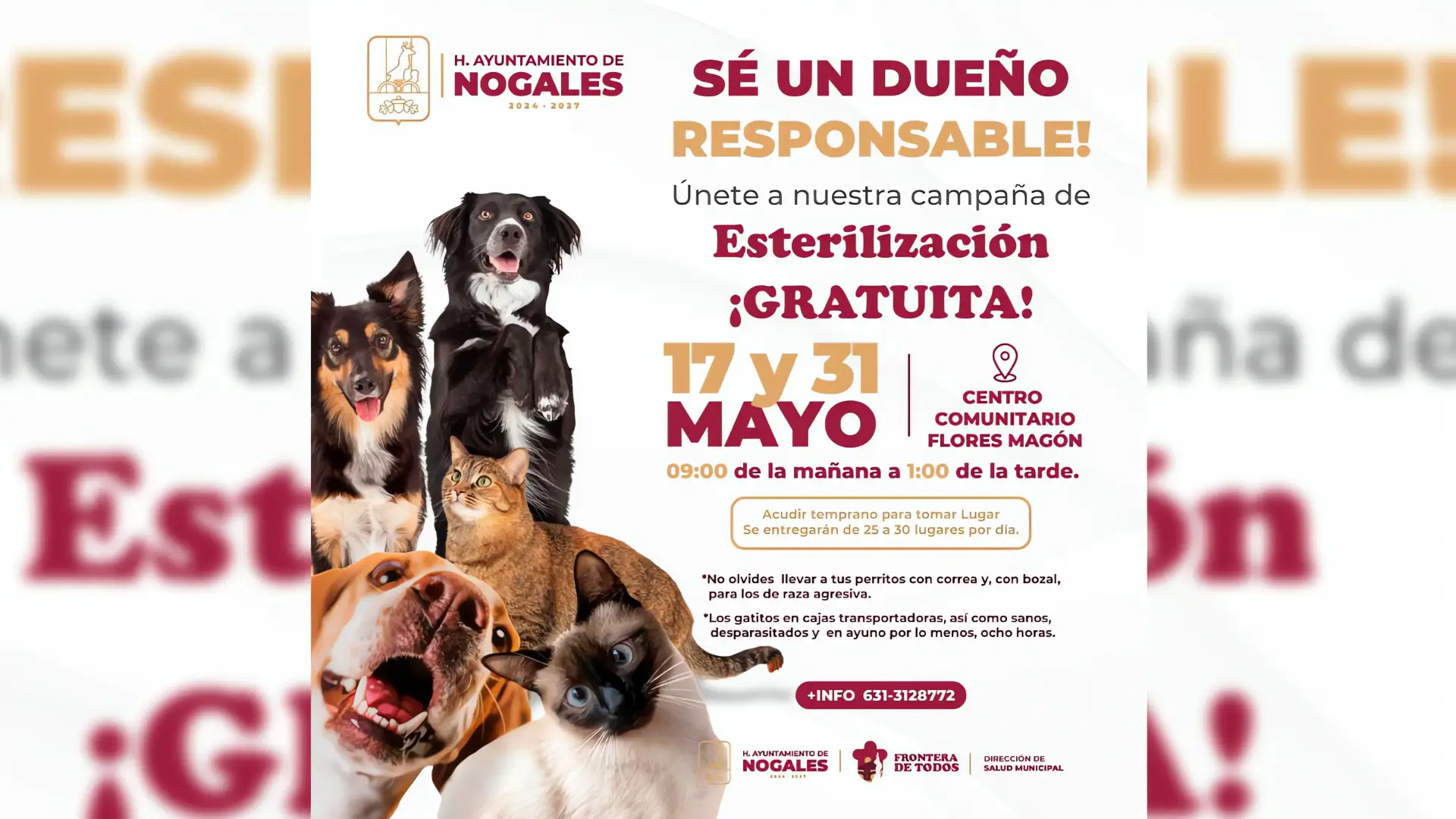 Jornada Gratuita de Esterilización para Mascotas
