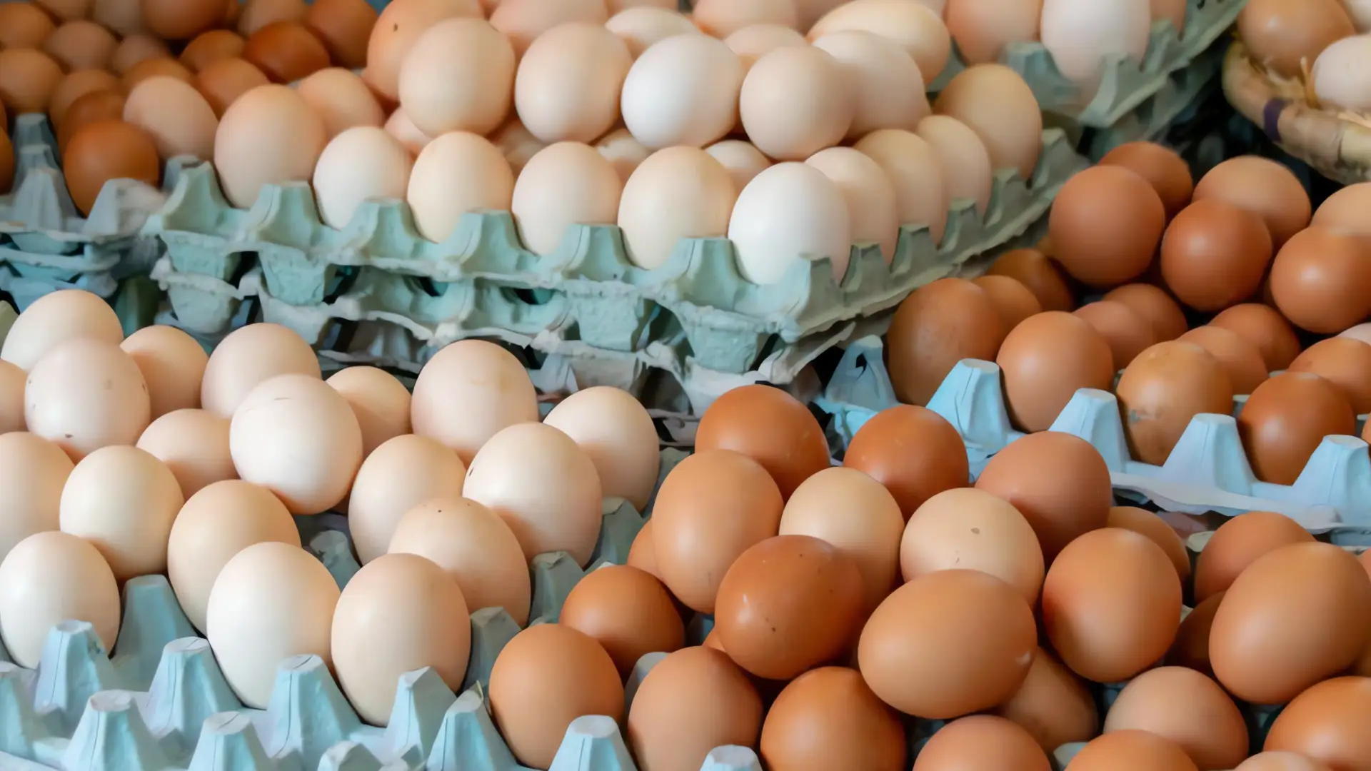 Alerta sanitaria: Walmart retira millones de huevos en Arizona
