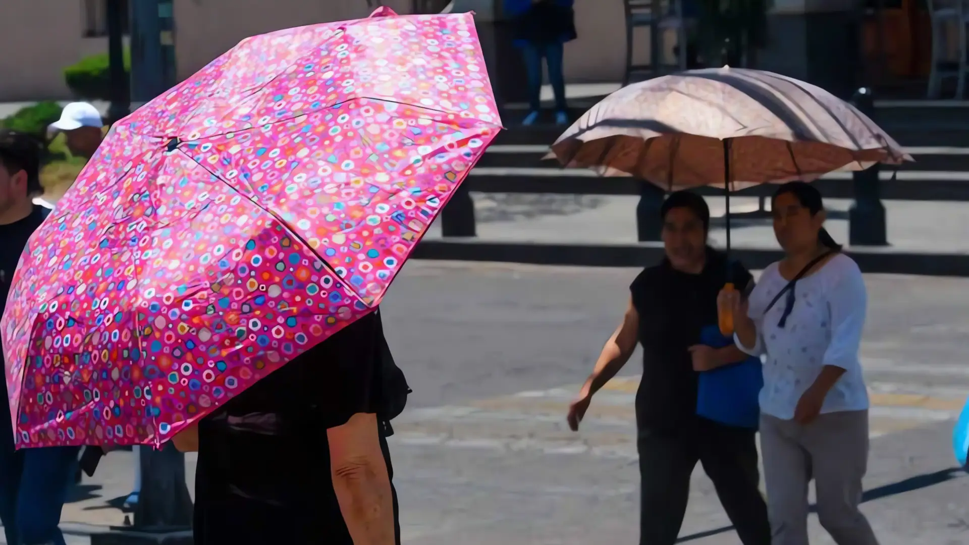 Alerta por ola de calor: Protección Civil pide extremar precauciones
