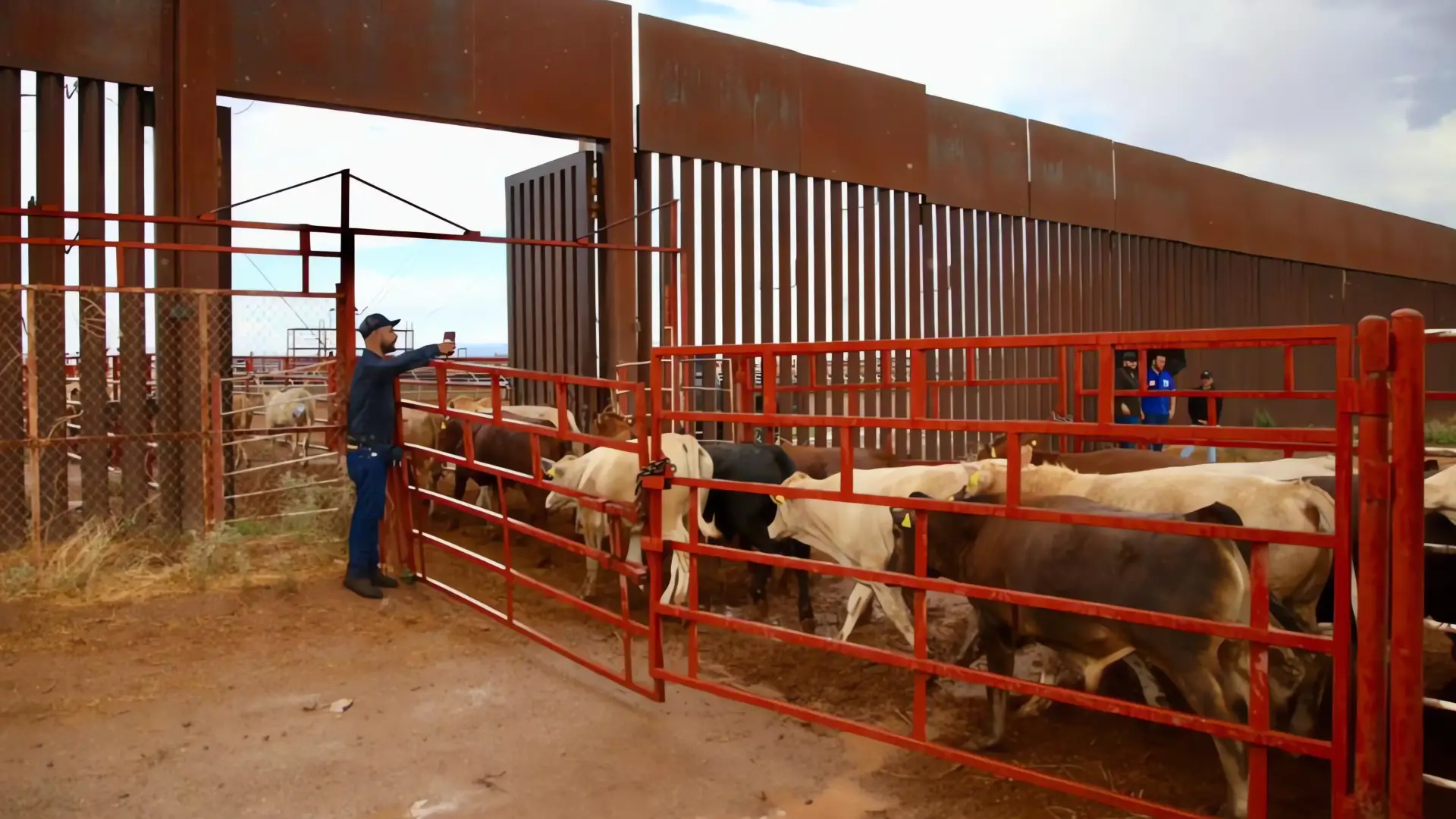 Ganaderos sonorenses reciben apoyo especial del Plan México
