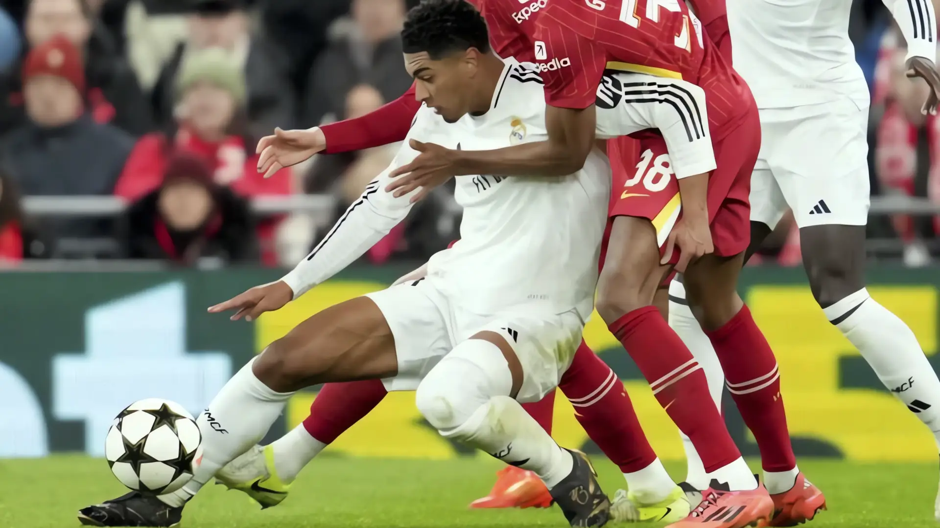 Bellingham listo para volver con el Real Madrid
