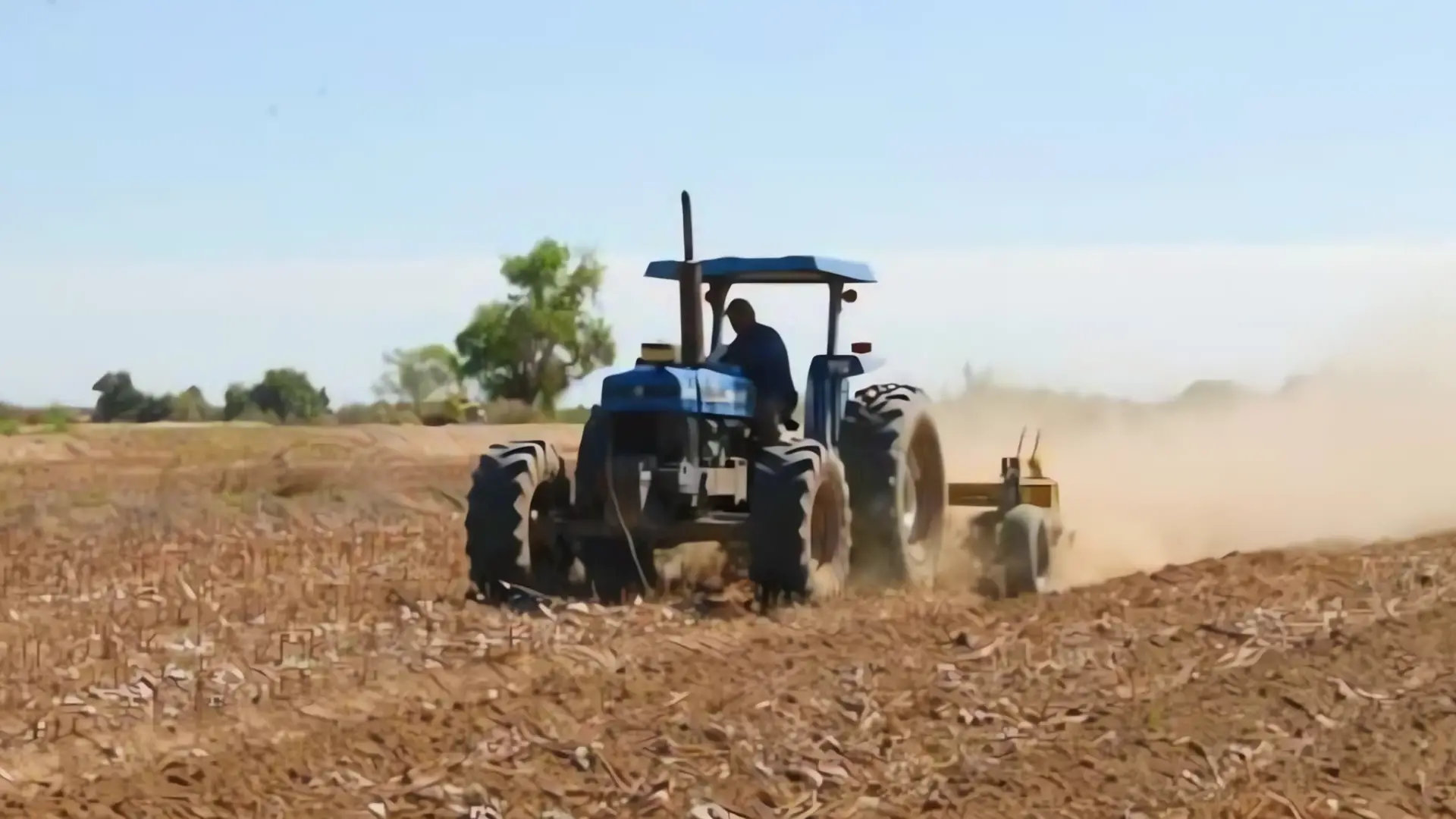 Extienden plazo para apoyos federales a productores de Sonora