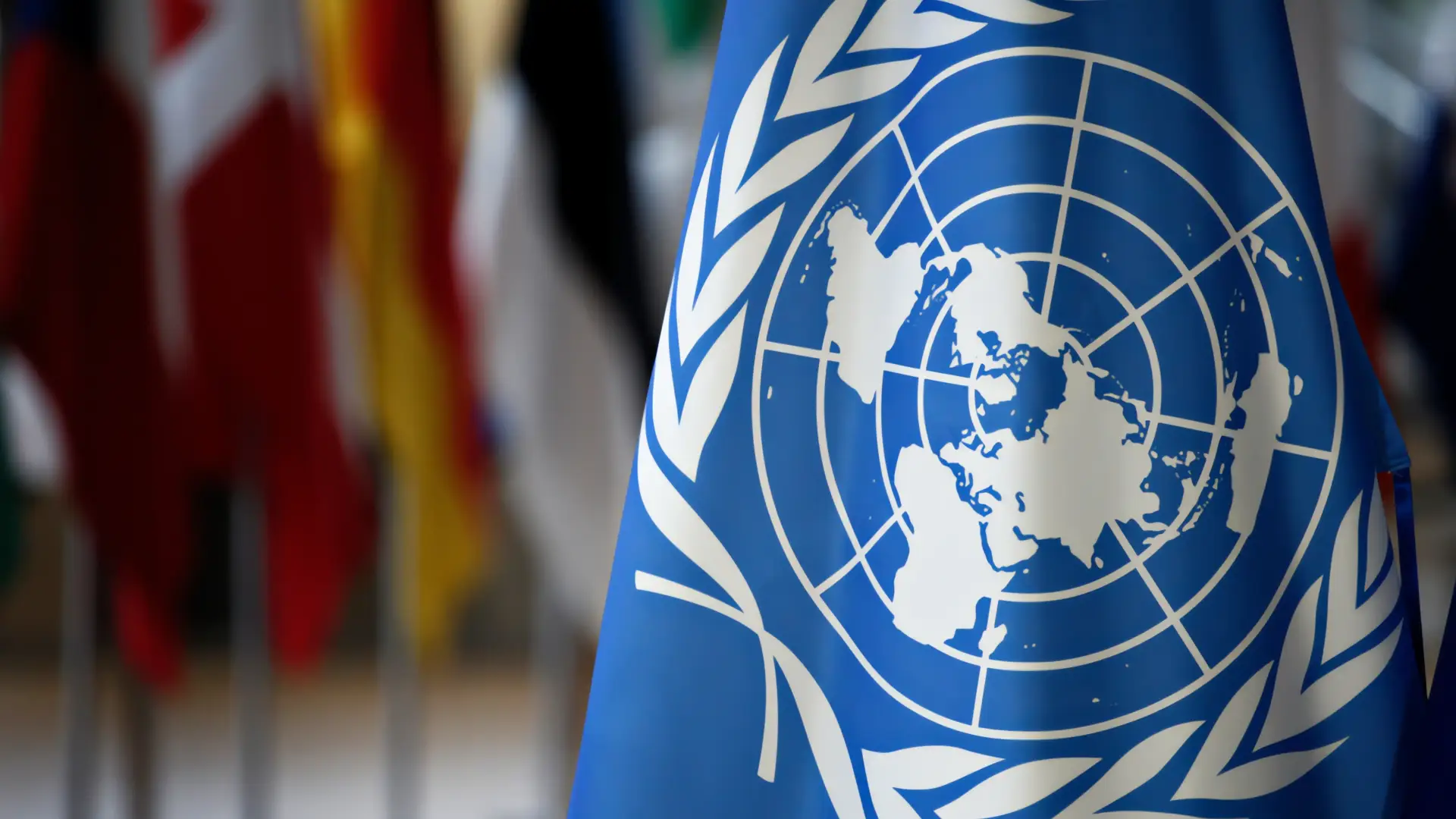 EE. UU. enfrenta acusaciones de la ONU por ejecuciones extrajudiciales en el Caribe y el Pacífico