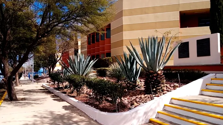 Regresa Unison Nogales a clases presenciales híbridas