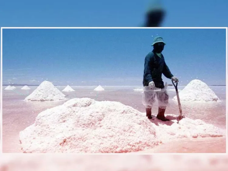 Crean Comisión Especial de Seguimiento a la Explotación del Litio