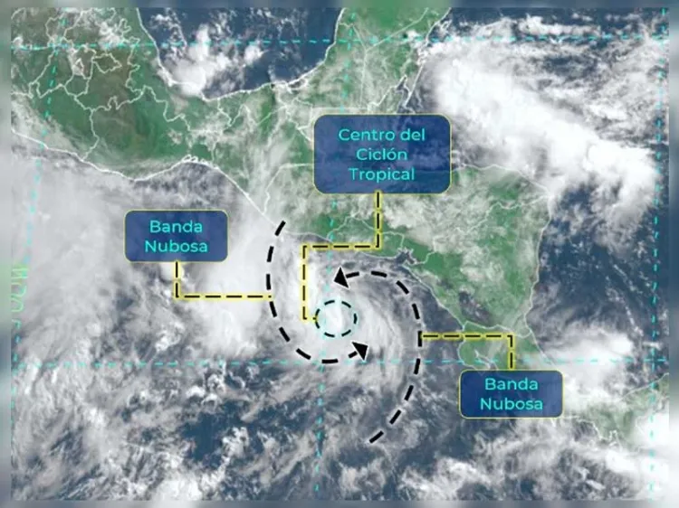 Toma forma tormenta tropical 'Celia' en el Océano Pacífico