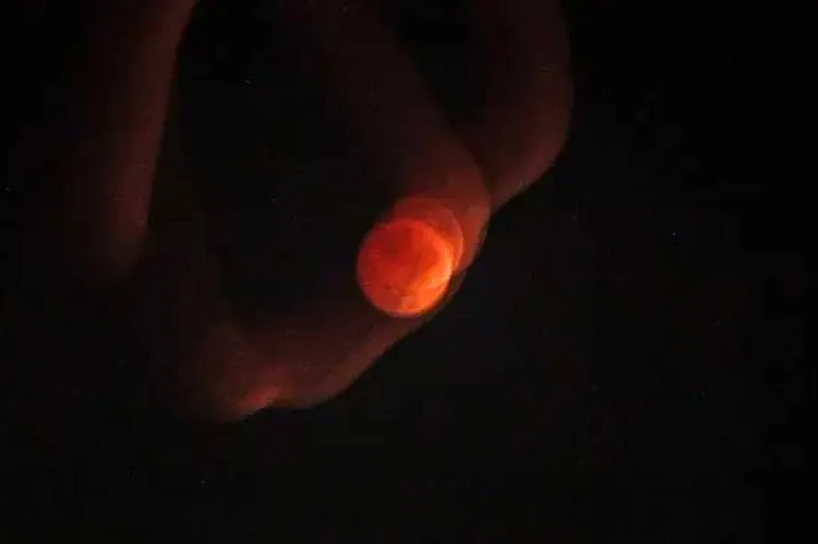 Así se vio el Eclipse Lunar en diferentes partes del mundo