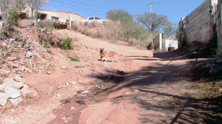 Piden vecinos reparación de calle en colonia Altamira