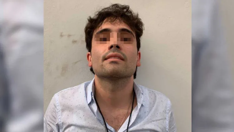 Atentos por efecto “cucaracha” tras detención de Ovidio: JGN