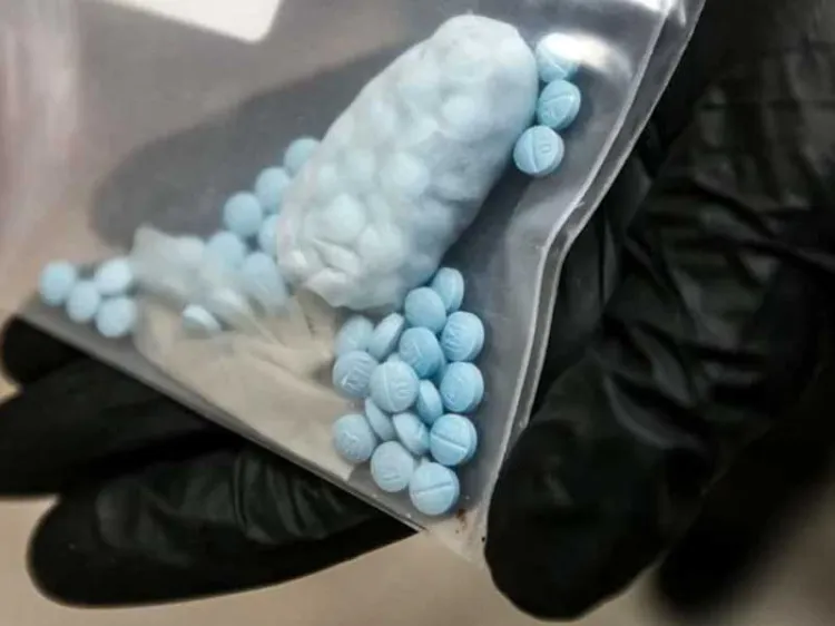 Decomisa CBP 5 mil pastillas de fentanilo en dos cargamentos