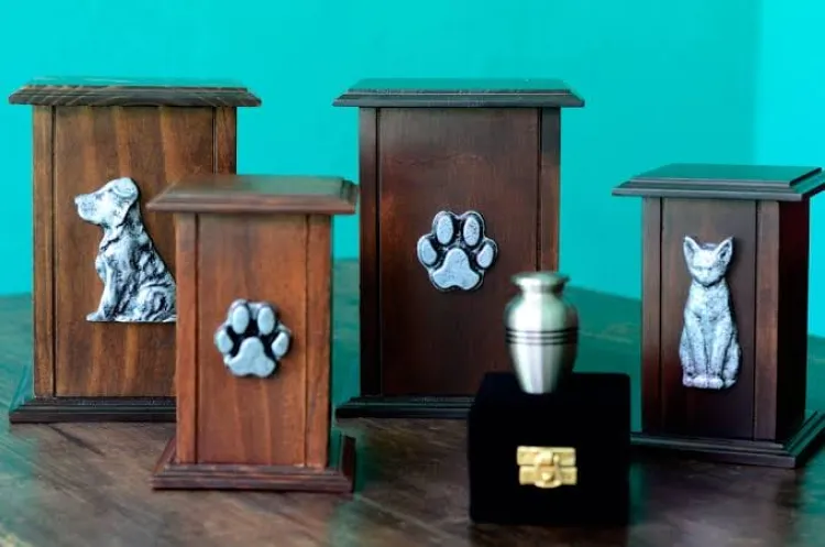 Ofrecen servicio de cremación para mascotas