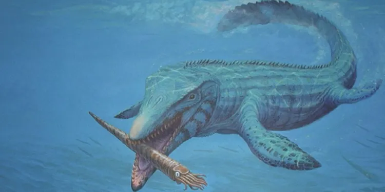 Localizan “monstruo marino” extinto con dientes similares a un destornillador