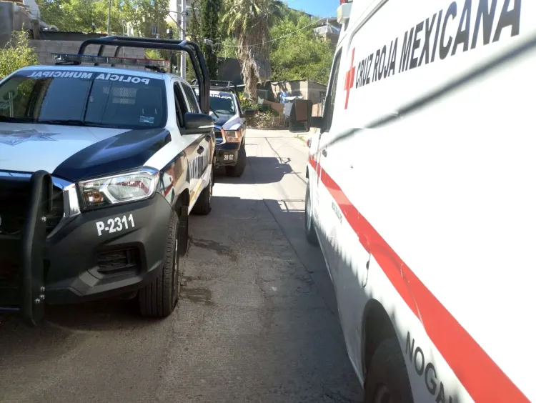 Resguarda DIF a menor extraviada