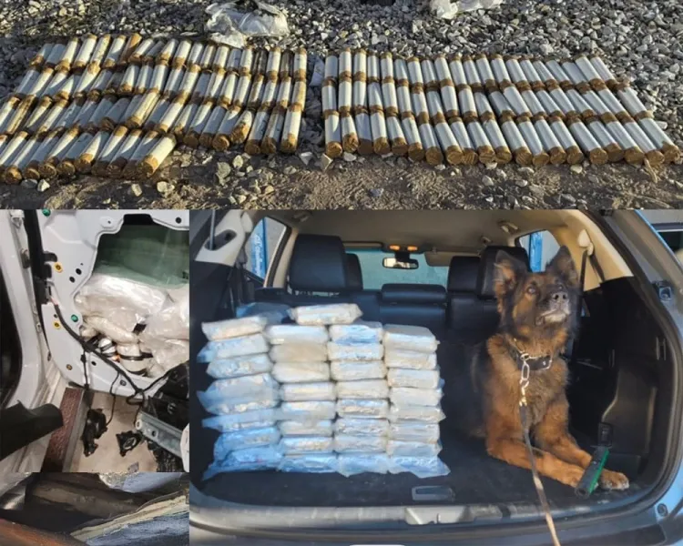 Incauta la CBP casi un millón de pastillas de fentanilo