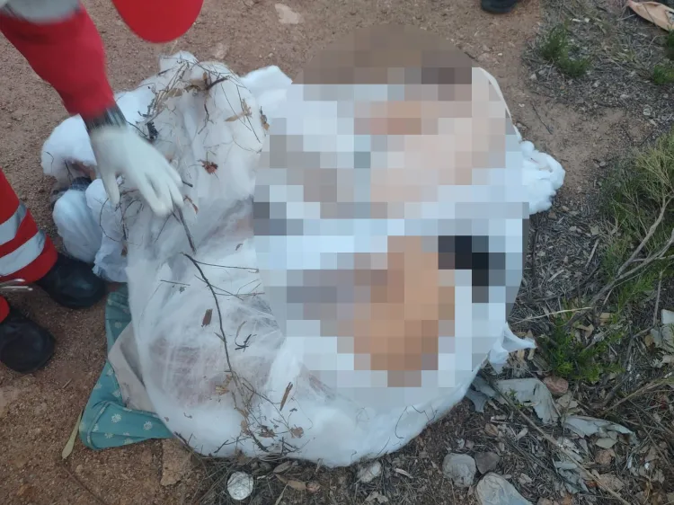 Rescatan a dos hombres que dejaron lesionados en predio despoblado